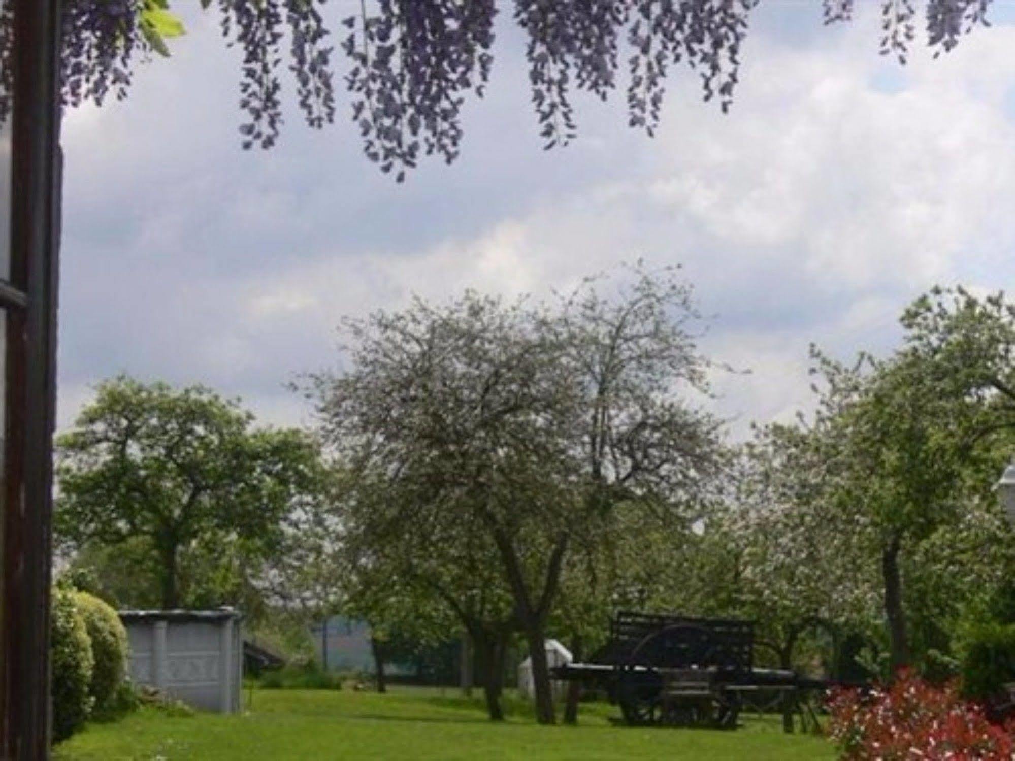 Le Jardin B&B Isigny-le-Buat Kültér fotó